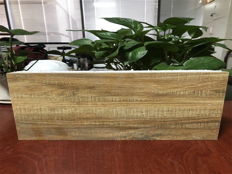 ��̼�ᱣ��һ���